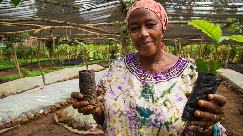Royal Seedlings Supports Avocado Farmers in Kenya
